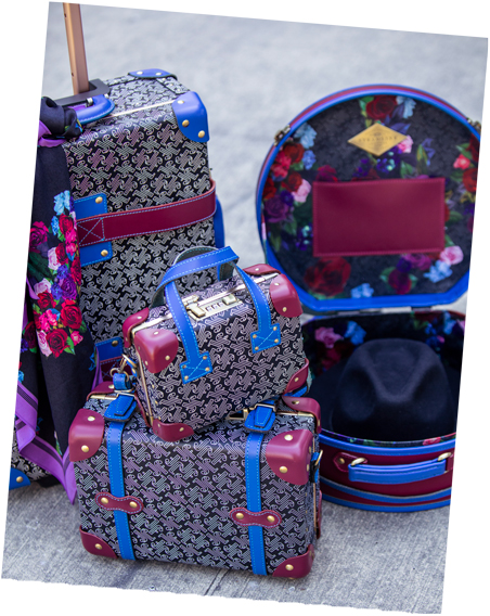The collection of four Fluevog x SteamLine travel cases.
