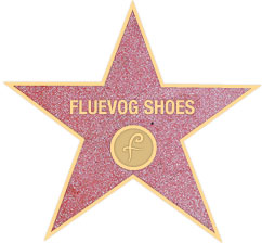Image of a five-pointed terrazzo and brass star in the same style found on Hollywood's Walk of Fame with text “Fluevog Shoes”.